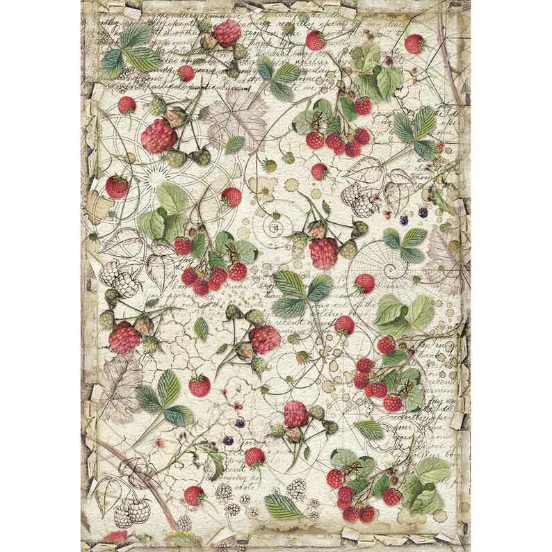 STAMPERIA Decoupage Forest RASPBERRY Rice Paper A4 DFSA4429 Etsy