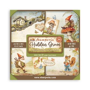 Papier de scrapbooking recto 12 x 12 Stamperia HIDDEN GROVE, 22 pcs #SBBXLB22