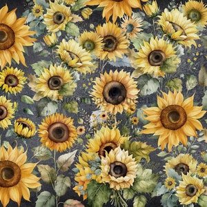 Decoupage Queen FIELD of SUNFLOWERS A4 VELLUM Paper DQVP0489