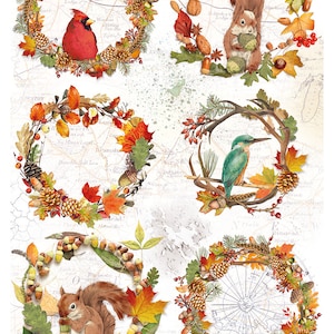 Ciao Bella Into the Wild AUTUMN COMPOSITIONS Decoupage Rice Paper A4 #CBRP361