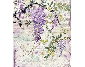 STAMPERIA Decoupage WISTERIA Rice Paper A4  DFSA4227