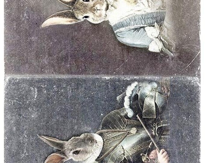 ITD Collection BUNNY PORTRAITS A4 Rice Paper R1813 - Etsy
