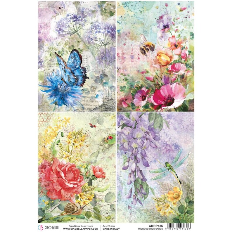 Rice Paper A4 Mixed Media CARDS CBRP125 Ciao Bella MICROCOSMOS
