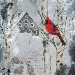 Decoupage Queen WINTER CARDINAL A4 Rice Paper DQRP0520