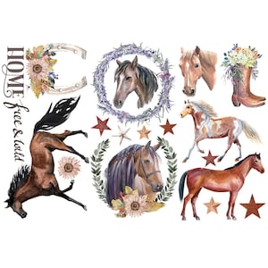 re-design Prima WILD SOUL 6x12 Decor Transfers 3 sheets #653422