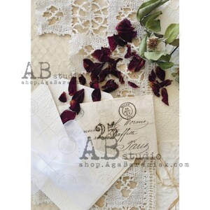 ABstudio LETTRES AVEC FLEURS PRESSÉES A4 Papier de riz pour découpage #0317