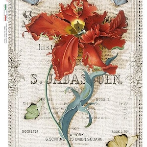 Paper Designs FLOWERS 0356 A4 Decoupage Rice Paper