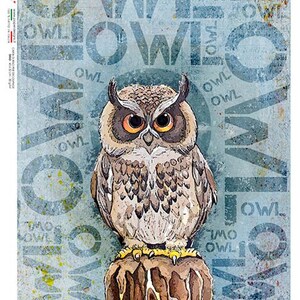 Paper Designs OWL A4 Decoupage Rice Paper #ANIMALS 0139