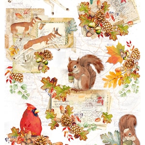 Ciao Bella Into the Wild DWELLERS of the WOOD Decoupage Rice Paper A4 #CBRP357