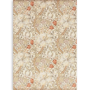 Protection Poitrine Et Dos Moto Pour Enfants - Armure Réglable, Couleur Rouge, Pour VTT Et Dirt Bike