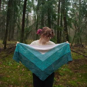 Op de afbeelding: Een teal, blauwe en witte gehaakte sjaal met een kantpatroon. De sjaal wordt vastgehouden door een persoon in een bosrijke omgeving.