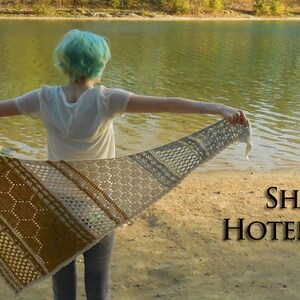 May include: A person wearing a white shirt and blue jeans holds a crocheted shawl with a honeycomb pattern in shades of brown, beige, and white. The shawl is spread out behind the person, and the text "SHAWL: HOTEL OF BEES" is visible in the lower right corner of the image.