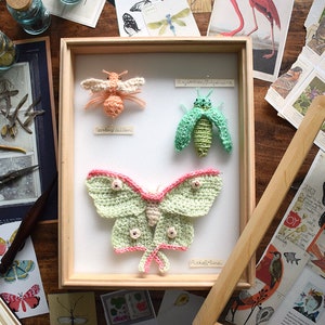 Crochet pattern: 2020 Scheepjes CAL Bonus crochet pattern The Entomologist, pattern PDF, crochet beetle, crochet butterfly, crochet bee