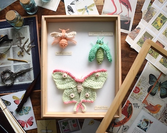 Crochet pattern: 2020 Scheepjes CAL Bonus crochet pattern The Entomologist, pattern PDF, crochet beetle, crochet butterfly, crochet bee