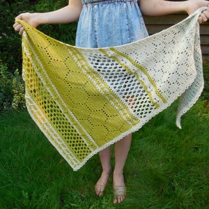 Crochet pattern: Hotel of Bees crochet shawl, pattern PDF, crochet shawl, crochet lace, crochet bees, filet crochet