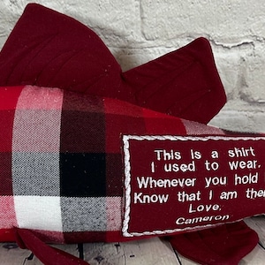 Op de afbeelding: Rood en wit geruit visvormig kussen met een rode viltstaart en een zwart oog. Het kussen heeft een wit geborduurd label met de tekst "This is a shirt I used to wear. Whenever you hold it. Know that I am there. Love, Cameron."