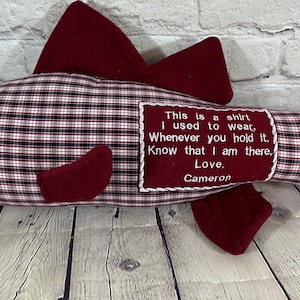 Op de afbeelding: Rode en witte geruite stoffen vis met een rood vilt hoofd en staart. De vis heeft een zwart knoop oog en een geborduurde boodschap met de tekst: "This is a shirt I used to wear, Whenever you hold it, Know that I am there, Love, Cameron."