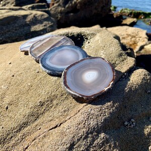 以下が含まれることがあります： 茶色、白、グレーの縞模様の入ったアゲートコースターが4つ。コースターは砂地の表面に一列に並んでいます。