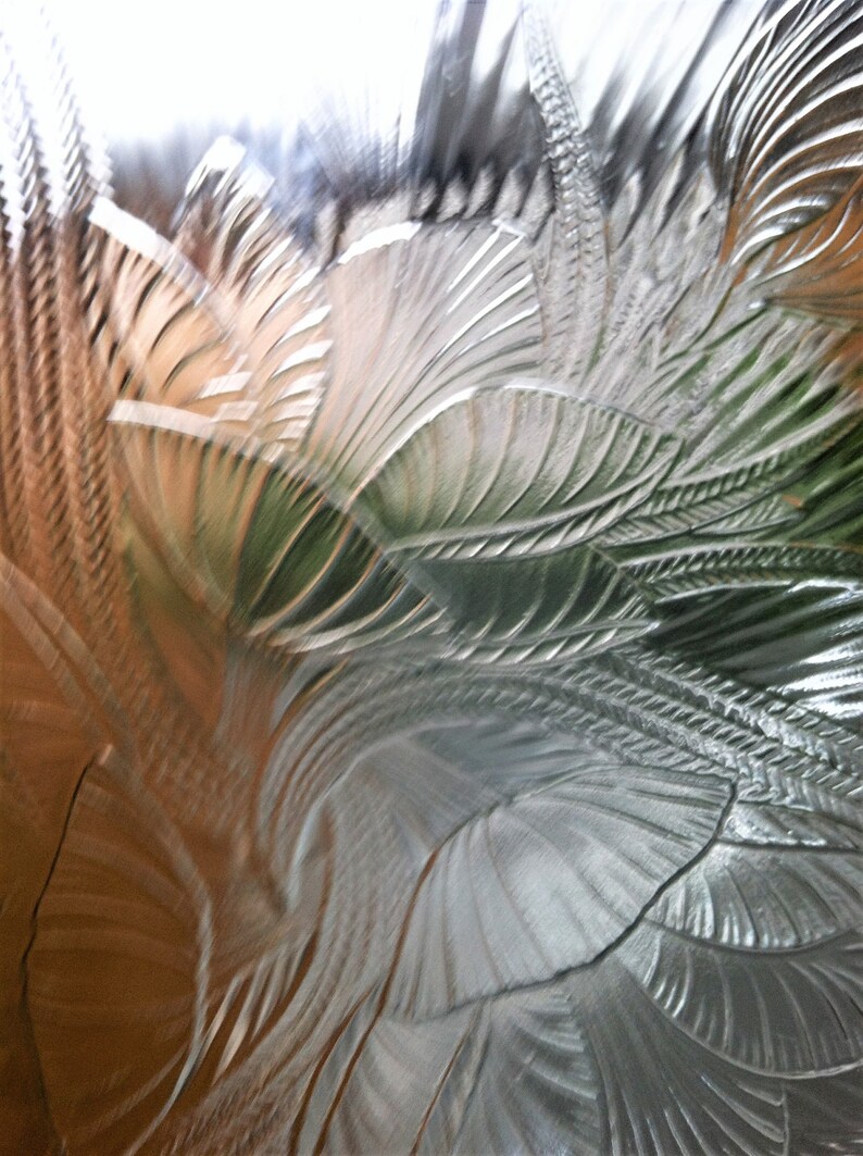 French Clear Glass Plates Arcoroc Canterbury Pattern Crocus Dinner Plates Arcoroc Dinner Plates 4 Vintage Arcoroc Clear Flower Plates Dinnerware Sets Home Living Aloli Ru French Clear Glass Plates Arcoroc Canterbury Pattern Crocus Dinner Plates Arcoroc Dinner Plates 4 Vintage Arcoroc Clear Flower Plates Dinnerware Sets Home Living Aloli Ru