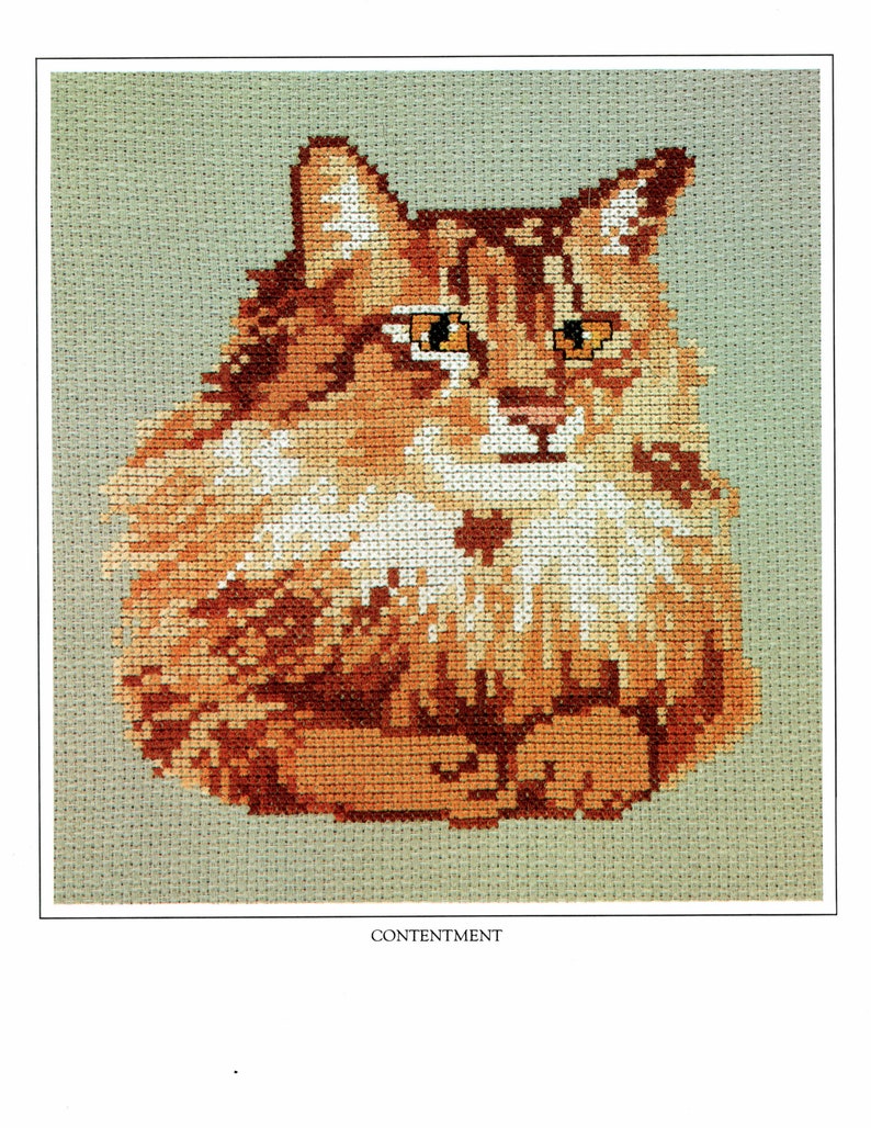 Counted Cross Stitch Content Cat Pattern Instant Download PDF Pattern Cat Cross Stitch Pattern image 4