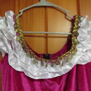 May include: A pink velvet costume top with white ruffled trim and a gold chain with coin accents.