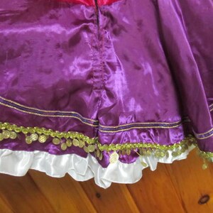 May include: Purple satin skirt with a white ruffle trim and gold coin accents.