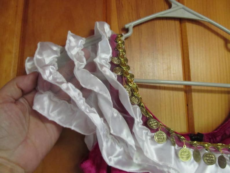 May include: A pink and white costume top with a gold coin trim. The top has a white ruffle trim and a sheer overlay.