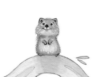 C44: Estampado de quokka • Ilustración pequeña • Perezoso durmiendo • Obra de arte en tinta • Nadyart • Arte del bosque • Lindo quokka • Arte de quokka