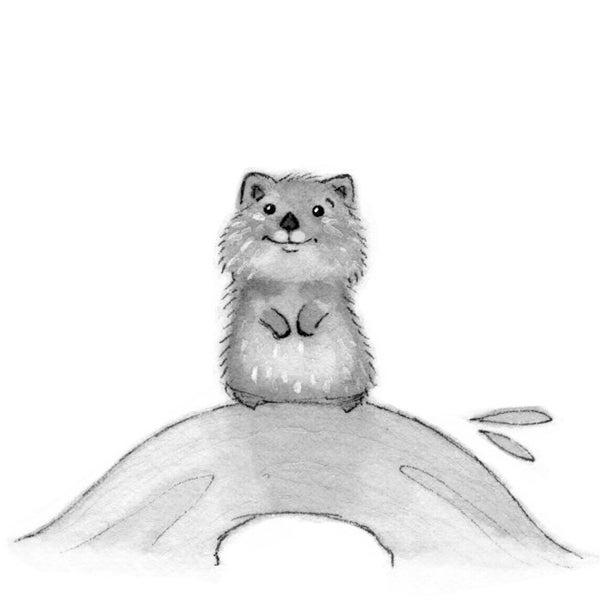 C44: Quokka Print • Small Illustration • PSloth Sleeping • Ink art work • Nadyart • Woodland art • Cute Quokka • Quokka art