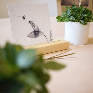 May include: A black and white drawing of a mouse on a leaf, framed in a wooden stand. The drawing is on a white card with a light pink background. There is a small potted plant with green leaves in the background.