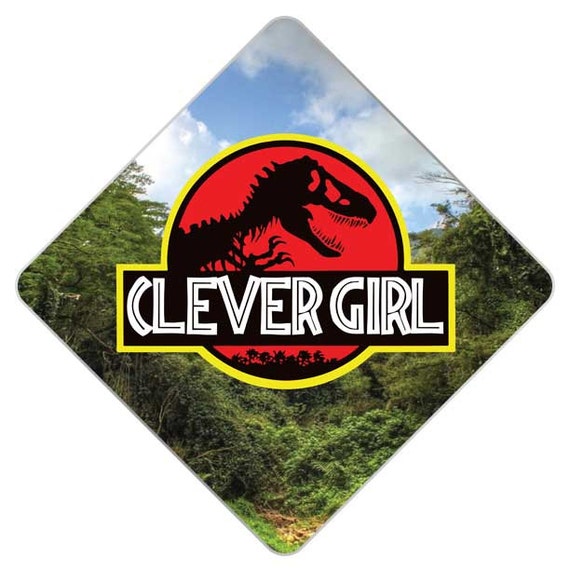 clever girl grad cap