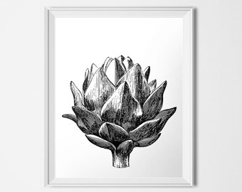 Artichoke Print, Botanical Print, Vegetable Print, INSTANT DOWNLOAD, 8x10 16x20 Poster, Kitchen Decor, Black & White Food Print, Food Art