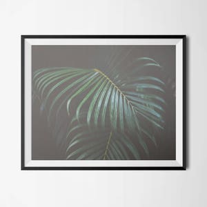 Botanical Print, Tropical Photography, Palm Leaf Print, Green Tropical, Dark Floral Poster 5x7 8x10 11x14 16x20 18x24 24x30 Nature Art Print