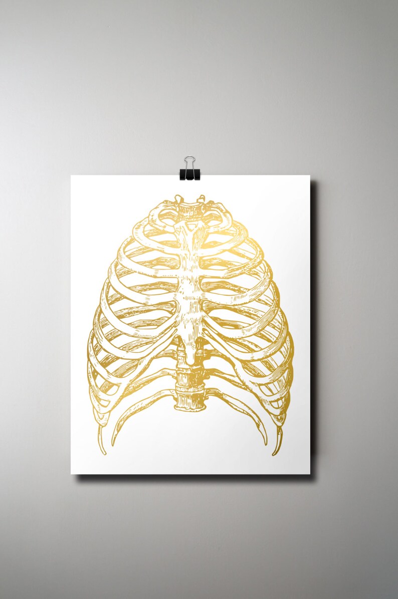 Gold Rib Cage Print Medical Printable Human Anatomy Gold | Etsy