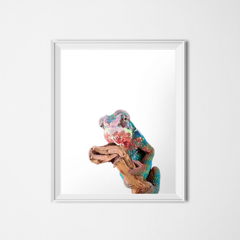 Chameleon Print 16x20 Poster INSTANT DOWNLOAD Reptile Printable Exotic Animal Photography Digital Download Photography Print Animal Art