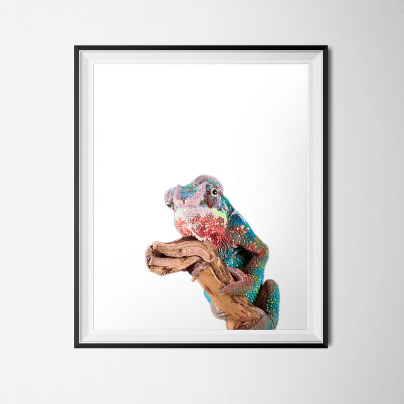 Chameleon Print 16x20 Poster INSTANT DOWNLOAD Reptile Printable Exotic Animal Photography Digital Download Photography Print Animal Art