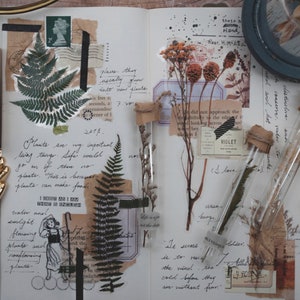 20 pcs fleurs sèches feuilles plantes autocollant, agenda déco autocollant, eucalyptus coton fougère feuilles branches pomme de pin gypsophile