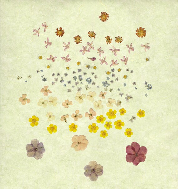 Items similar to Pressed Flower Print Flower Carpet on Etsy