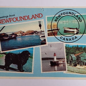 1967 Carte postale de Terre-Neuve vintage inutilisé Canada Canadian travel dog fishing lighthouse theme