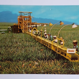 Dole Foods Hawaii's best America's Favorite Food Farming publicité carte postale rétro vintage