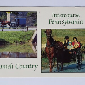 1991 Amish Country Intercourse Pennsylvania USA postcard travel stamped dated