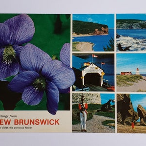 1972 New Brunswick cartolina saluti viaggio retrò vintage Canada Informazioni sulla carta canadese