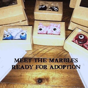 Marble families ready for adoption, pet marbles, gag gifts, stress relief, unique, funny gifts, glow in the dark googly eyes, families
