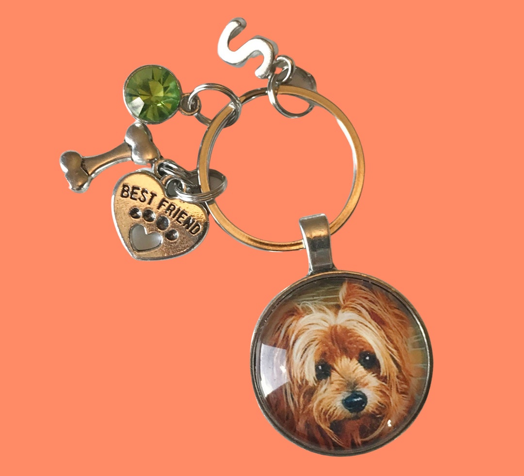 Pet Key Chains, Dog, Cat, Horse Animal Lovers, Initials, Birthstone