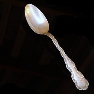 May include: A silver-toned metal spoon featuring an ornate, embossed scrollwork pattern along the handle. The handle terminates in a rounded end with a subtle, engraved monogram detail. The bowl of the spoon is smooth, polished, and reflective.