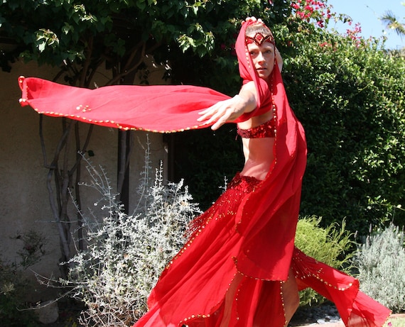 Ruby Red Professional Bellydancer Costume - image 3