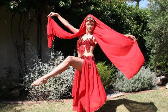 Ruby Red Professional Bellydancer Costume - image 1