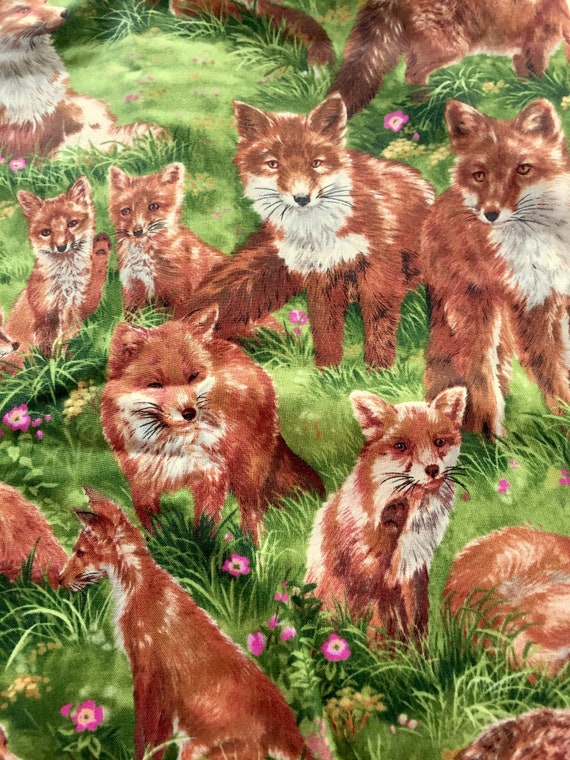 Vintage Framed Print Fox Family from Original Engraving C.F Deiker 1885