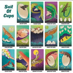 May include: A tarot card deck featuring illustrations of lizards and eggs. The cards are arranged in a grid, with each card showing a different suit of cups. The suits are Ace, Two, Three, Four, Five, Six, Seven, Eight, Nine, Ten, Page, Knight, Queen, and King.