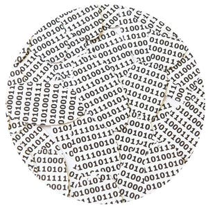 Sequin Oval 1.5 "Negro Blanco Binario Código Técnico Imprimir Opaco